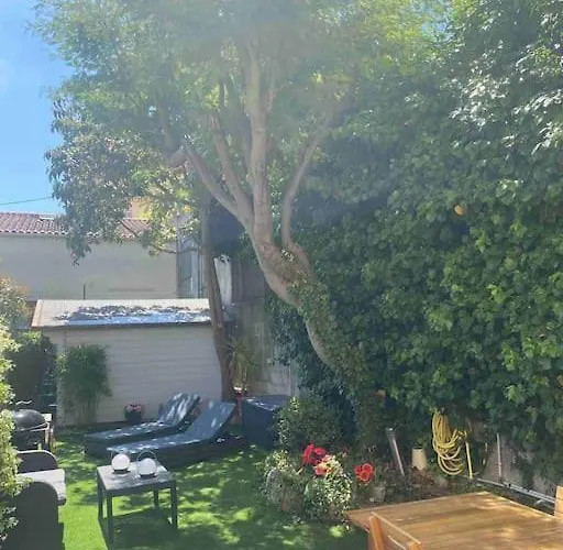 Beau Rez De Jardin- Suquet - Clim- Calme - Lumineux- 15 Minutes Palais Des Festival Lejlighed